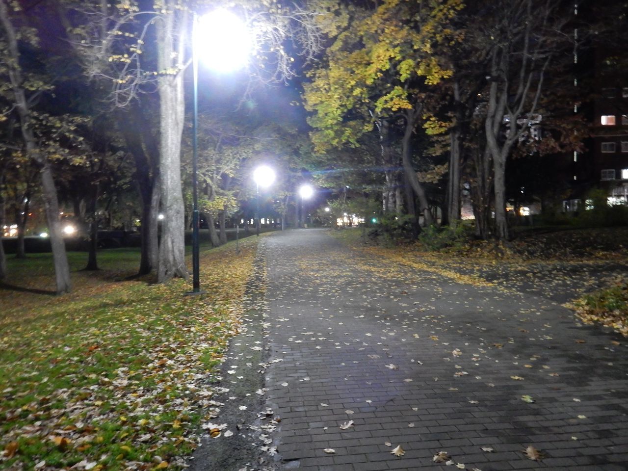 c0025115_23342803.jpg