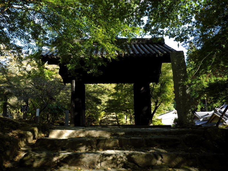 d0355116_20480259.jpg