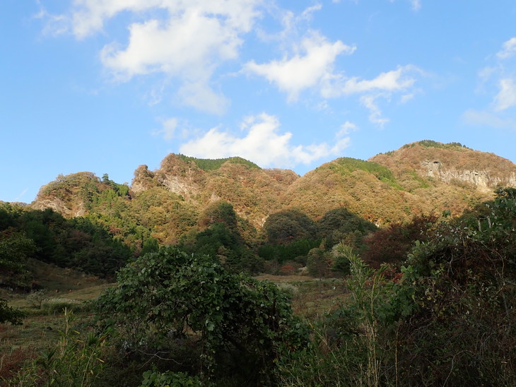f0193521_16281796.jpg