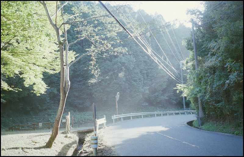 c0176622_17352531.jpg