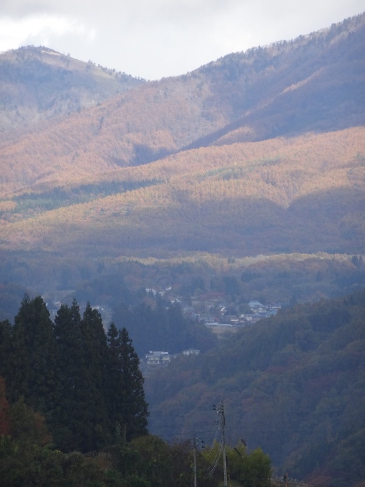 秋の信州の旅・・・(3930)_e0349324_08492526.jpg