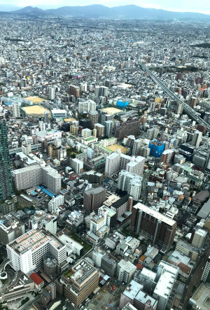 f0211225_18534277.jpg