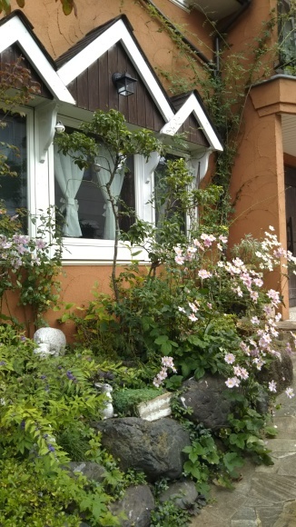 秋明菊に寄せて_c0155326_23473678.jpg