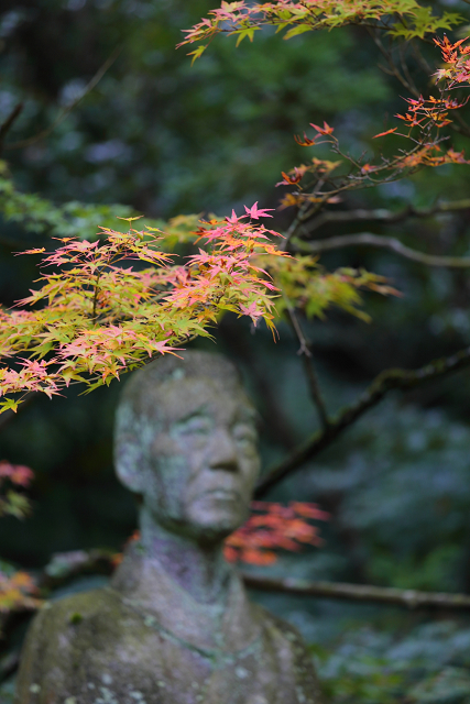 そうだ 京都、行こう。 －2018年紅葉 一休寺－_b0169330_8253046.jpg