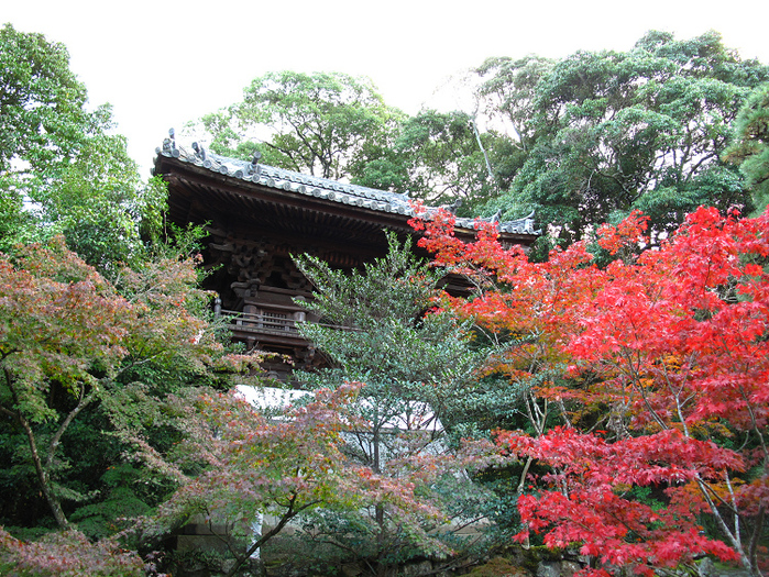 そうだ 京都、行こう。 －2018年紅葉 一休寺－_b0169330_841245.jpg