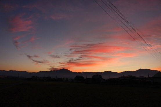 d0353837_21200180.jpeg