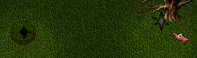 b0402739_00511926.png