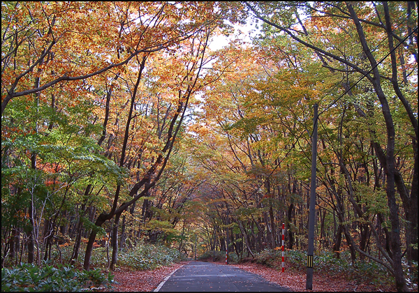 船形山で落葉を_f0086944_13494206.jpg