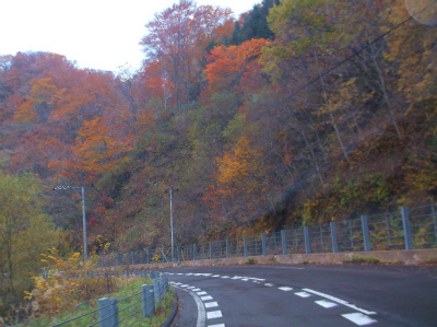 c0006745_05112509.jpg