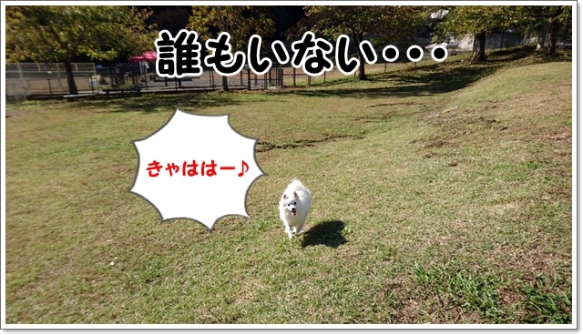 d0013149_00482041.jpg