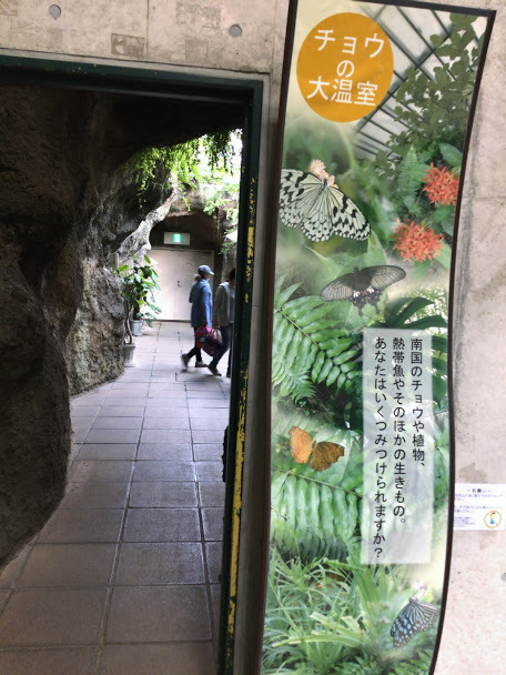 d0063149_16202109.jpg