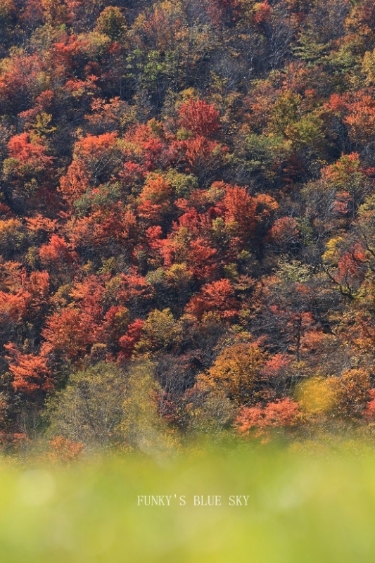 c0145250_14413073.jpg