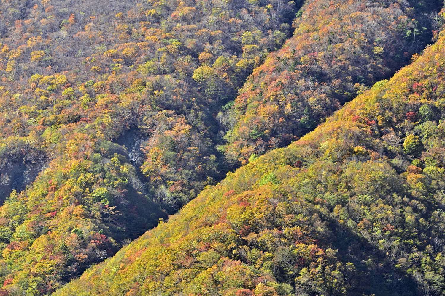 d0286954_04355550.jpg