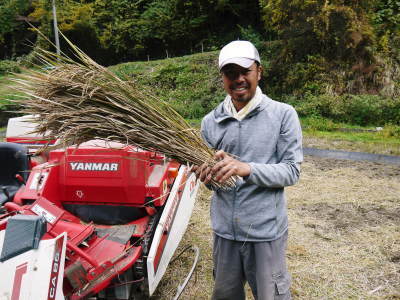 米作りの挑戦(2019)　稲刈りしました！今年は手刈りではなくコンバインで！_a0254656_17153213.jpg
