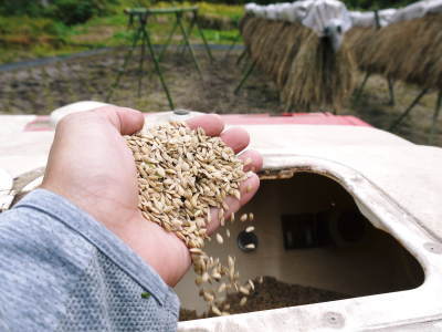 米作りへの挑戦！掛け干しした稲をコンバインを使って脱穀しました！(後編)_a0254656_18243359.jpg