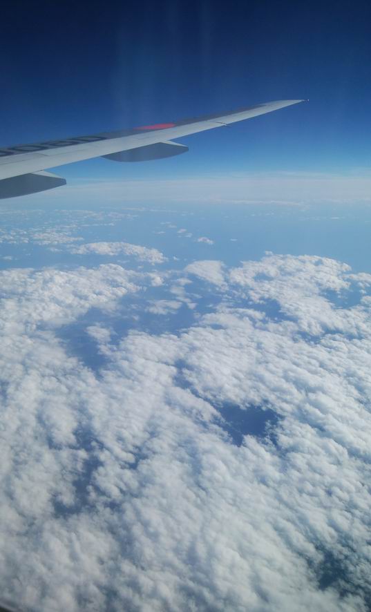 f0097157_23433132.jpg