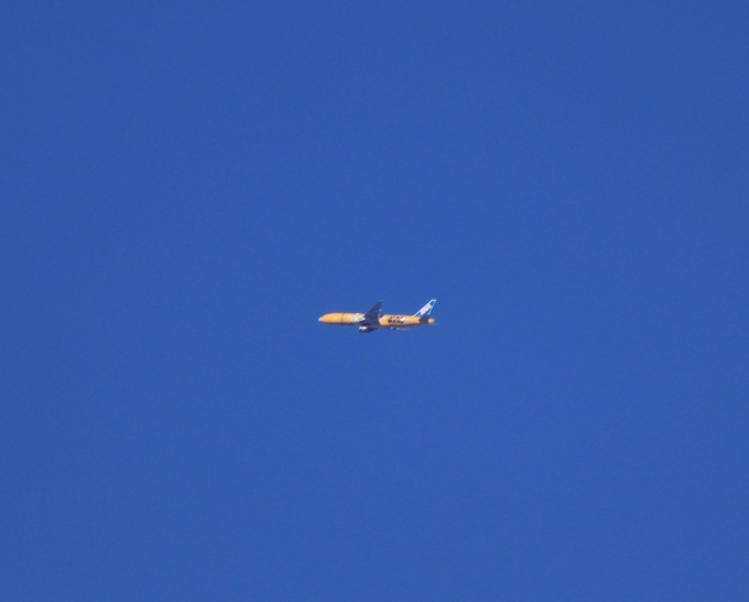 a0248459_12472356.jpg