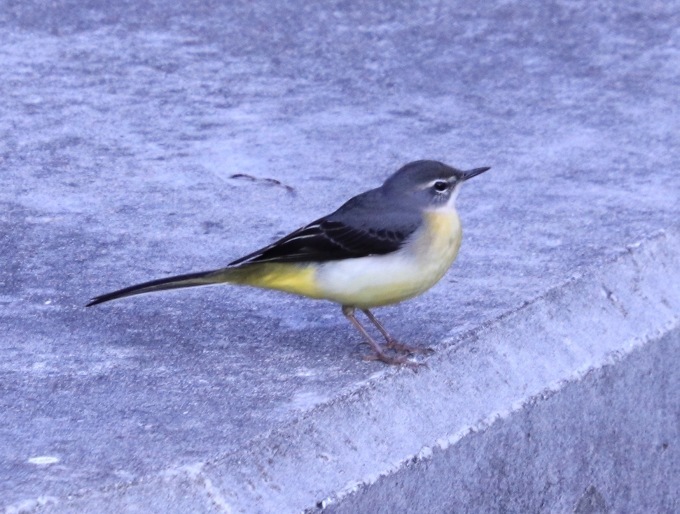 a0248459_12511732.jpg