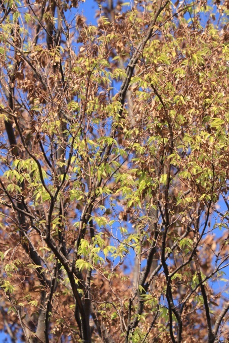 a0248459_12542951.jpg