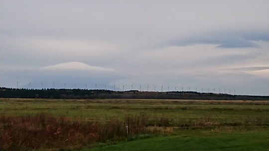 c0328559_16011070.jpg