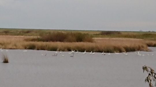 c0328559_16012658.jpg