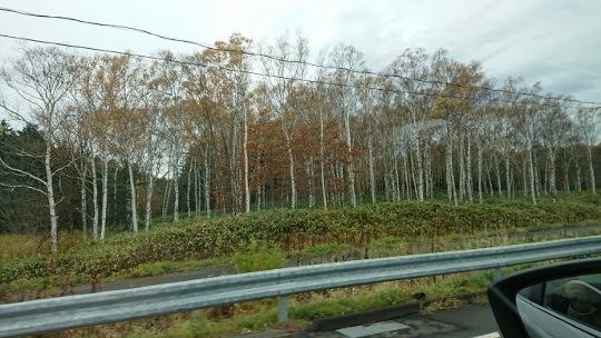 北海道最北旅行３日目_c0328559_16043858.jpg