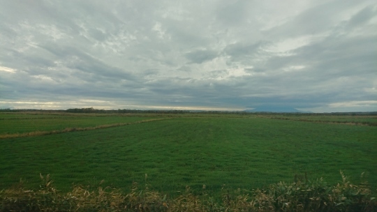 c0328559_16134102.jpg