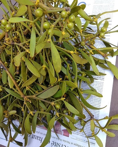 c0172261_08224293.jpg