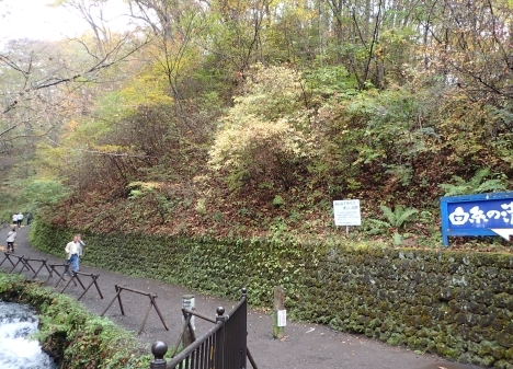 f0350468_09314018.jpg