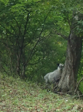 f0350468_10051182.jpg