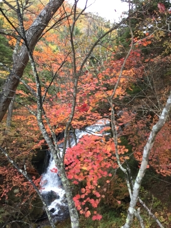 f0350468_10544971.jpg