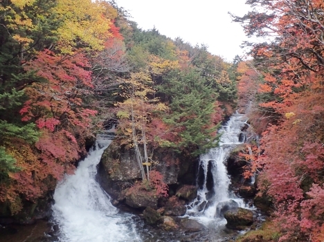 f0350468_10561449.jpg