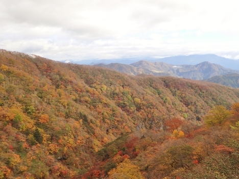 f0350468_18294141.jpg