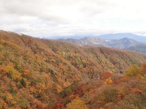 秋の東北ツー<3>”朝からいくんかい？”_f0350468_18294141.jpg