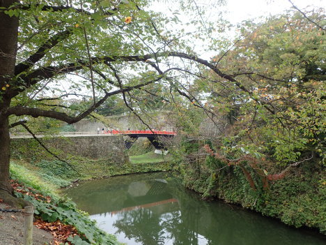 f0350468_18552634.jpg