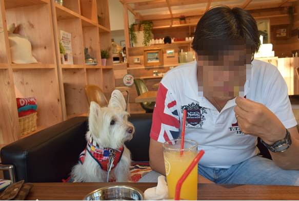 b0242873_17384613.png