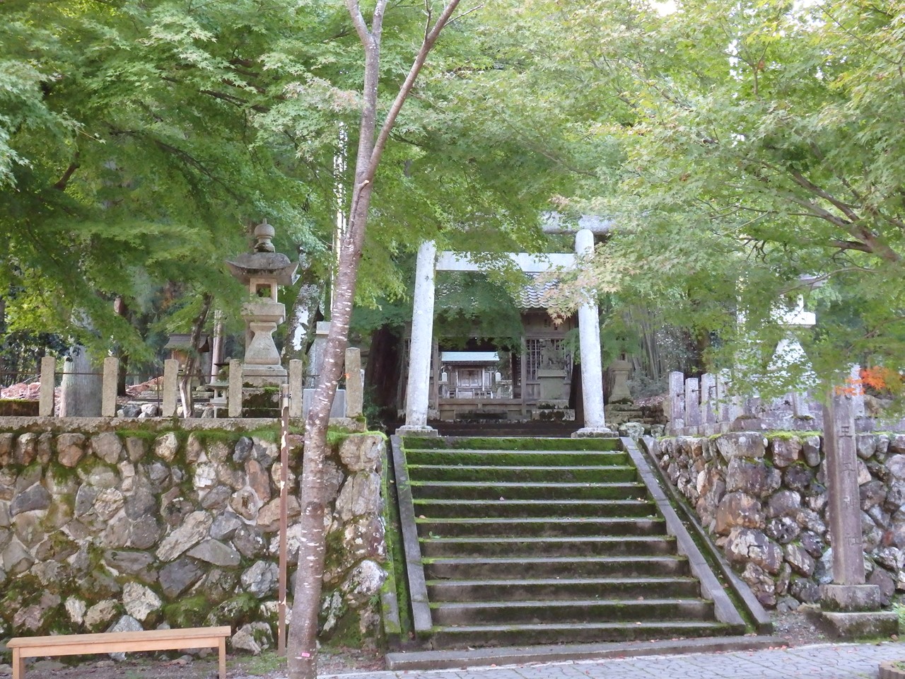 d0054276_2031308.jpg