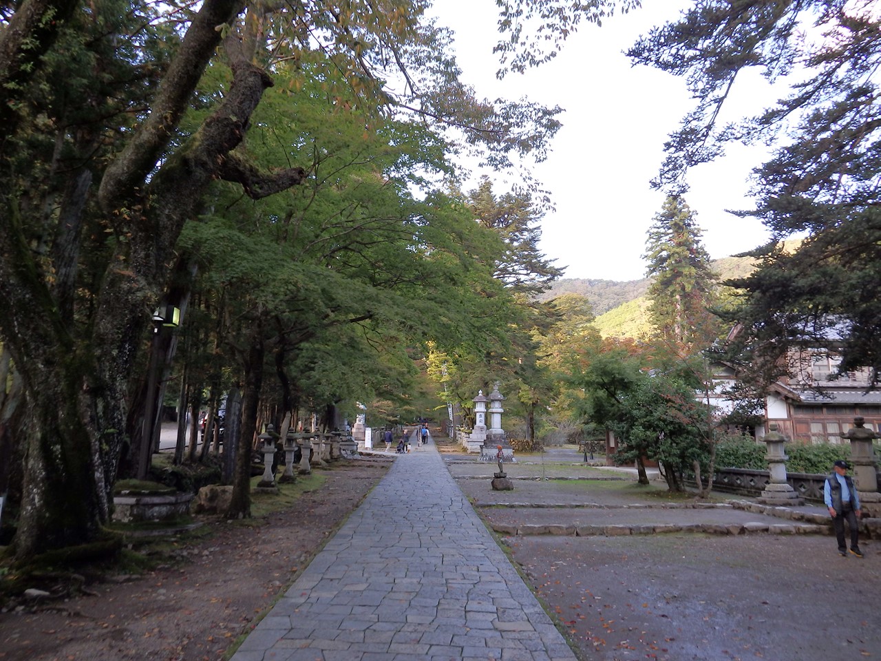 d0054276_20322320.jpg