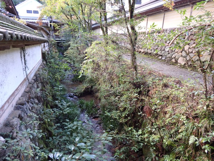 d0054276_20361985.jpg
