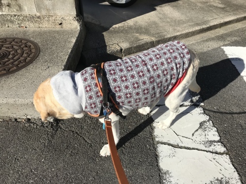 f0315081_17260142.jpeg