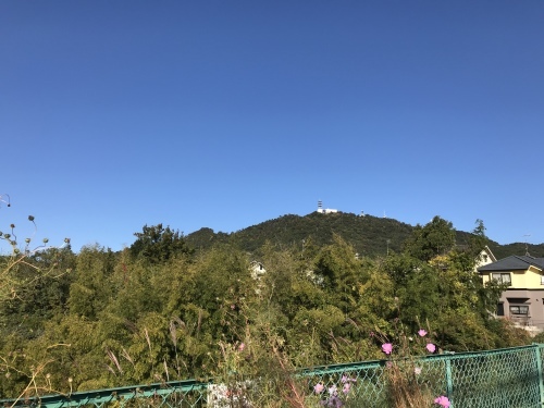 f0315081_17263829.jpeg