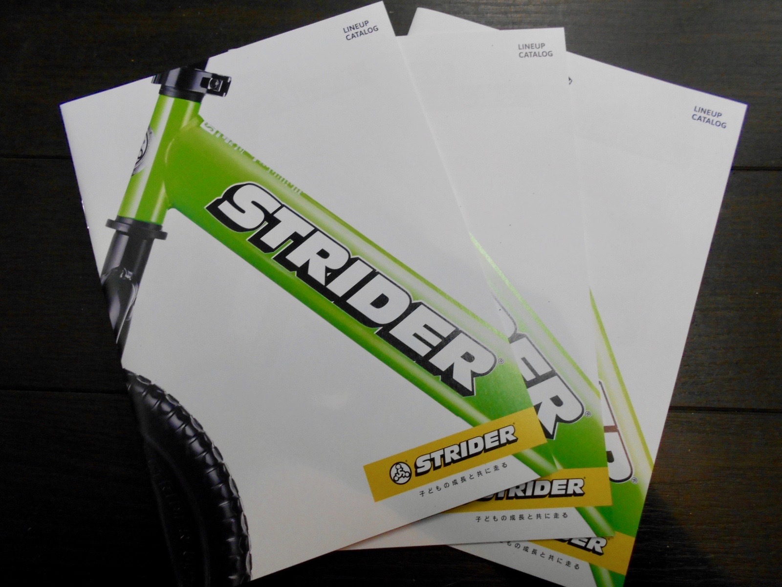 STRIDERの新しいカタログが来ました_b0189682_19151200.jpg