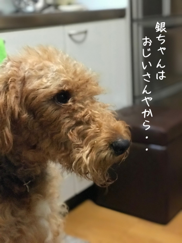a0216583_23373005.png