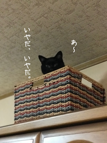 a0216583_23373972.png