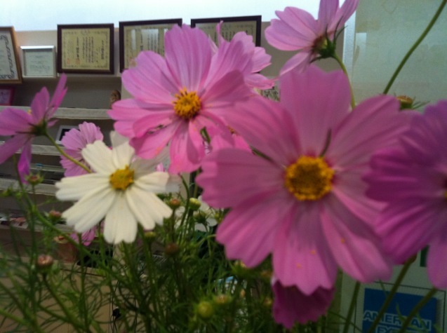 b0174284_22495363.jpeg