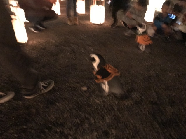 b0174284_22501560.jpeg