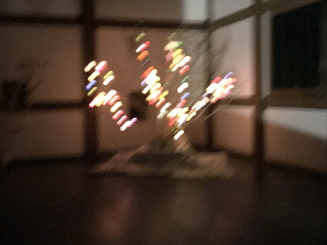 b0174284_22511886.jpeg