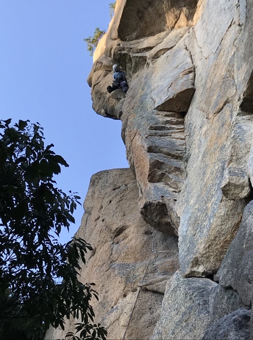 d0138986_06591067.jpeg