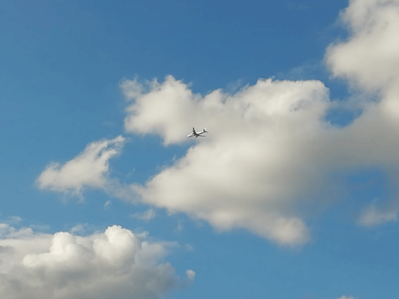 e0246788_16185511.gif