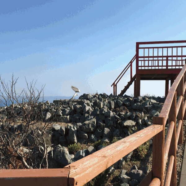 a0309389_09570146.gif